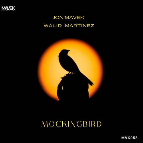 Jon Mavek, Walid Martinez - Mockingbird [MVK055]